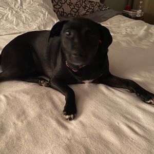 Meet your Posher, Dana